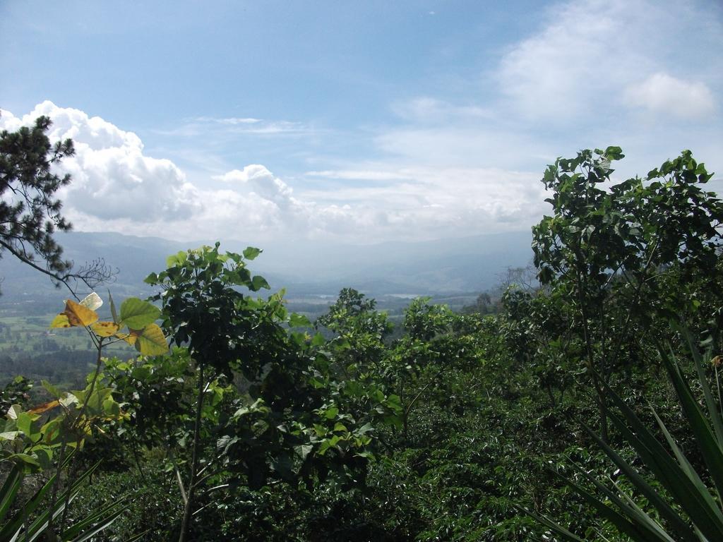 Green Mountain And Lodge Турриальба Экстерьер фото