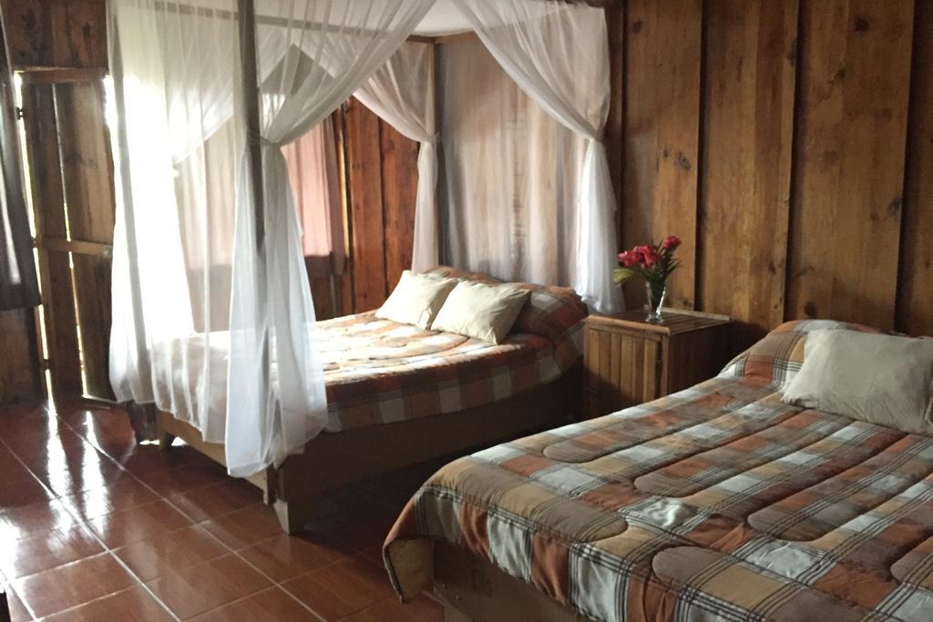Green Mountain And Lodge Турриальба Экстерьер фото